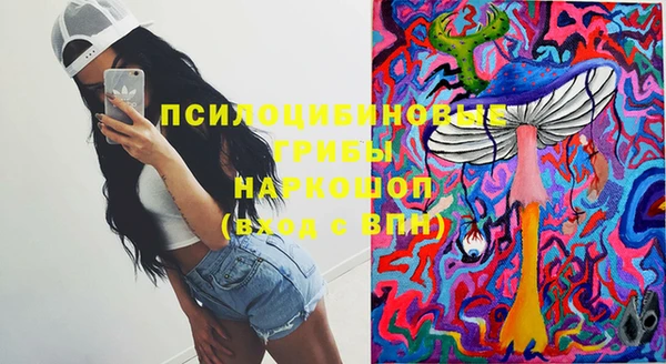 трава Сосновка