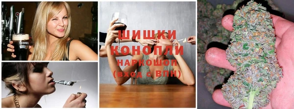 ECSTASY Белокуриха