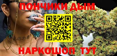 гидра Кингисепп