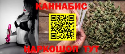 гидра Кингисепп