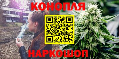 гидра Кингисепп