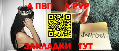 гидра Кингисепп