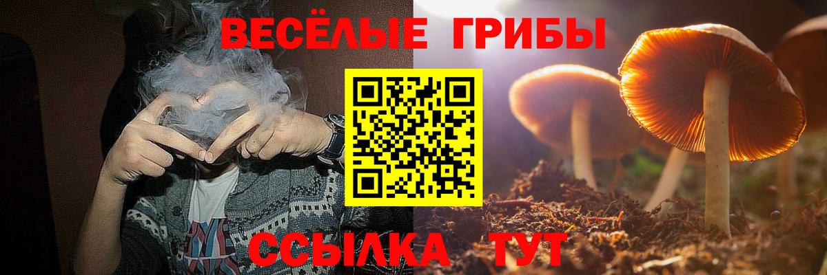 наркотики  Вход с VPN  Кстово  Галлюциногенные грибы прущие грибы 